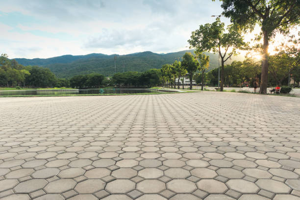 Best Driveway Repair Near Me  in Missouri City, TX